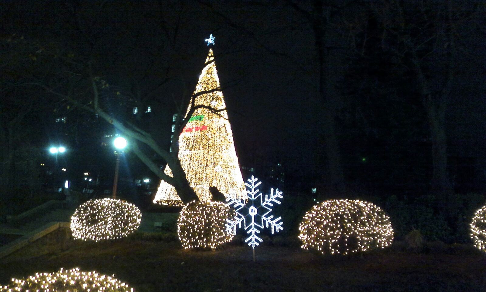 フィンランドのクリスマスツリーのライトアップ